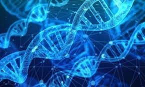 Sci-Tech Universe الكون للعلوم والتكنولوجيا - تظهر الدراسة عيوبًا جينية واسعة الانتشار في الجينوم البشري من قبل مستشفى جبل سيناء تظهر دراسة، لأول مرة، أن العيوب اللاجينية في الجينوم البشري