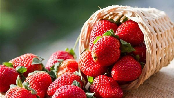 أضرار الفراولة على