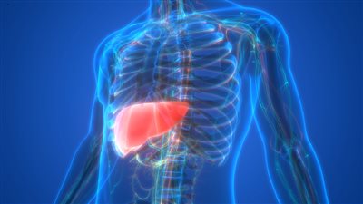 txt