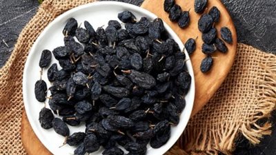 txt