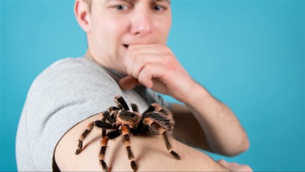 أسباب رهاب العناكب